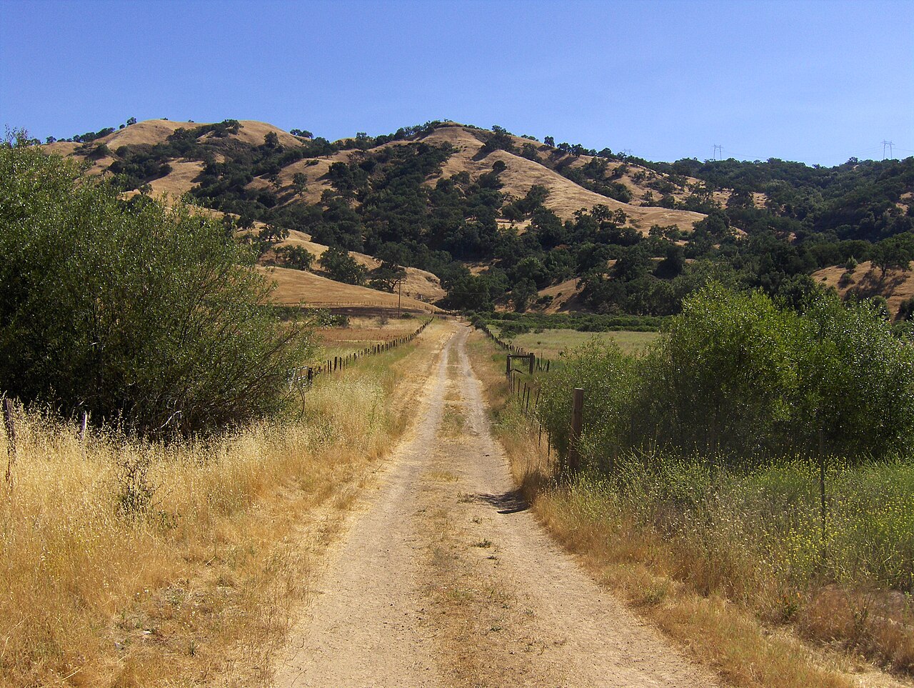 Joseph D. Grant Park, Corral Trail, midsummer